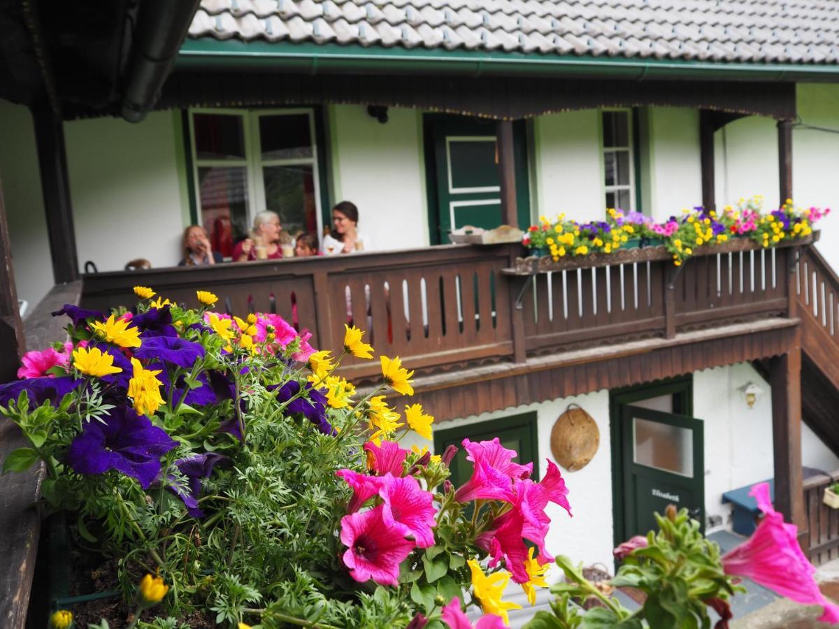 Sachserhof Ferienwohnungen In Sachsenburg ภายนอก รูปภาพ